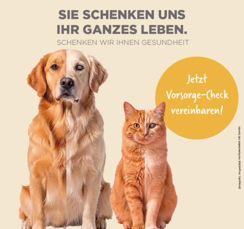 Vorsorge-Check Website